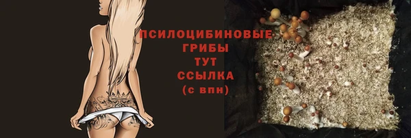 2c-b Абдулино