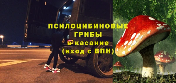 дурь Алзамай