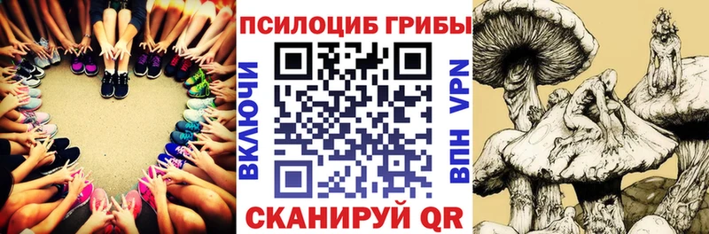 купить Сольвычегодск ссылка на мегу онион Галлюциногенные грибы Psilocybe